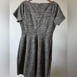 Ivanka Trump Gray Mini Dress